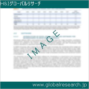 グローバルリサーチ調査レポートのイメージ